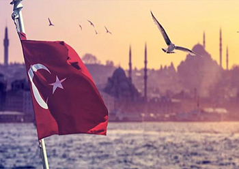 Türk Vatandaşlığı Başvurusu